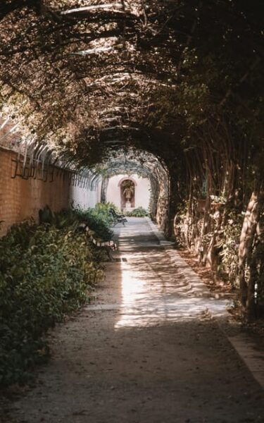 Valencia: Coaching Session - Shape Your Lifes Journey - Outdoor Setting Considerations