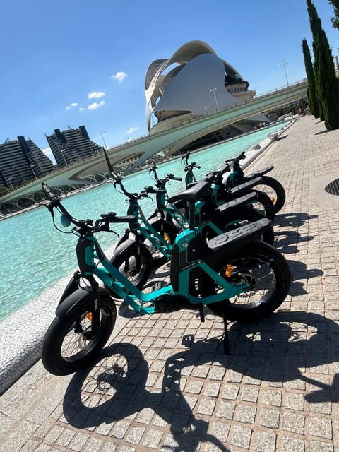 Valencia: Discover City Highlights on a Premium E-Bike - Turia Gardens Exploration