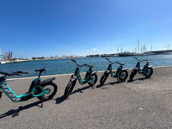 Valencia: Discover City Highlights on a Premium E-Bike - Eco-Friendly Cycling Adventure