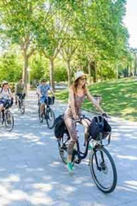 Valencia Electric Bike Tour: Historic Center & Art & Science - Important Information