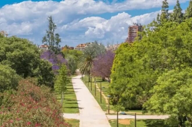 Valencia: Family Bike Tour; Walk Through Turia Gardens. - Tour Features and Inclusions