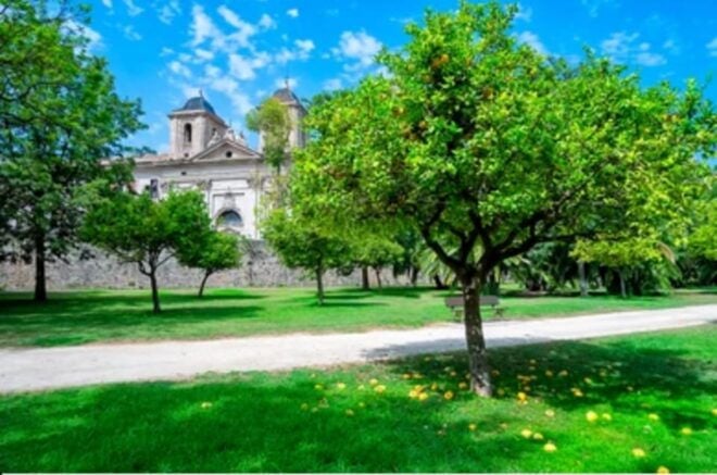 Valencia: Family Bike Tour; Walk Through Turia Gardens. - Pricing and Payment Options