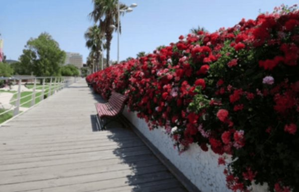 Valencia: Family Bike Tour; Walk Through Turia Gardens. - Tour Cancellation and Refund Policy