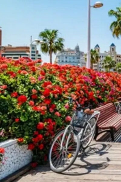 Valencia: Family Bike Tour; Walk Through Turia Gardens. - Frequently Asked Questions