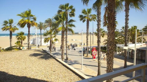 Valencia: Fantastic Segway Tour From the Center to the Beach - Explore Turia Gardens