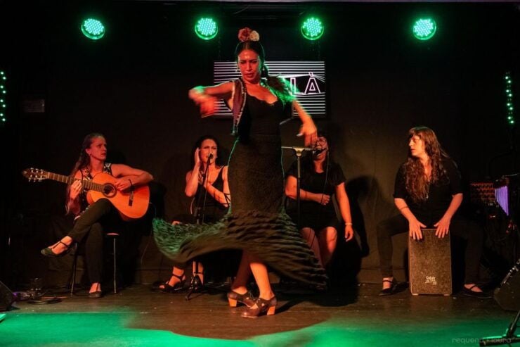 Valencia: Flamenco Show at Ca Revolta Theater - Experience Details