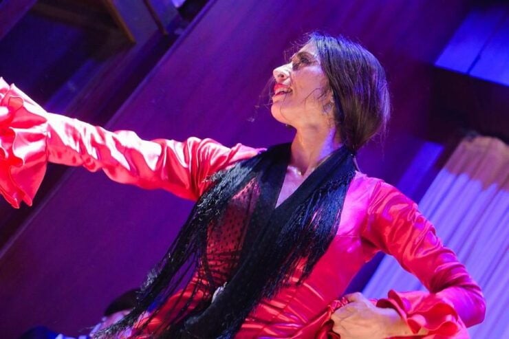 Valencia: Flamenco Show at La Linterna With Drink - Activity Details