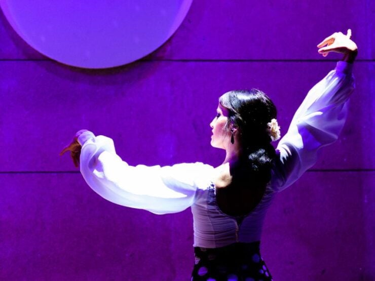Valencia: Flamenco Show at La Linterna With Drink - Experience