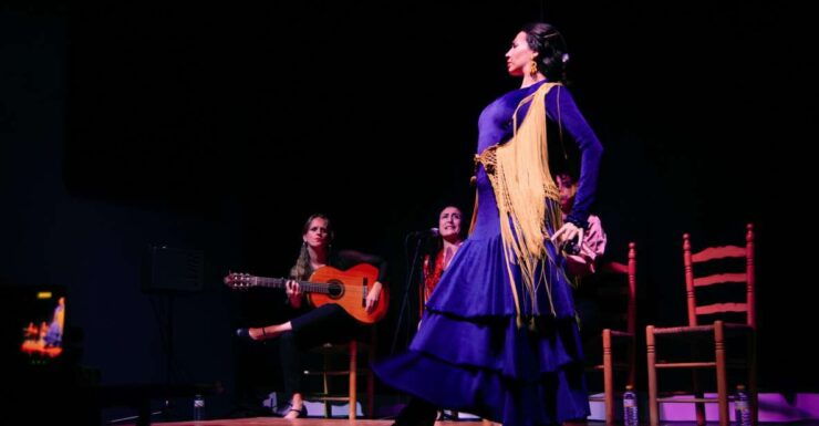 Valencia: Flamenco Show Tablao La Reina - Good To Know