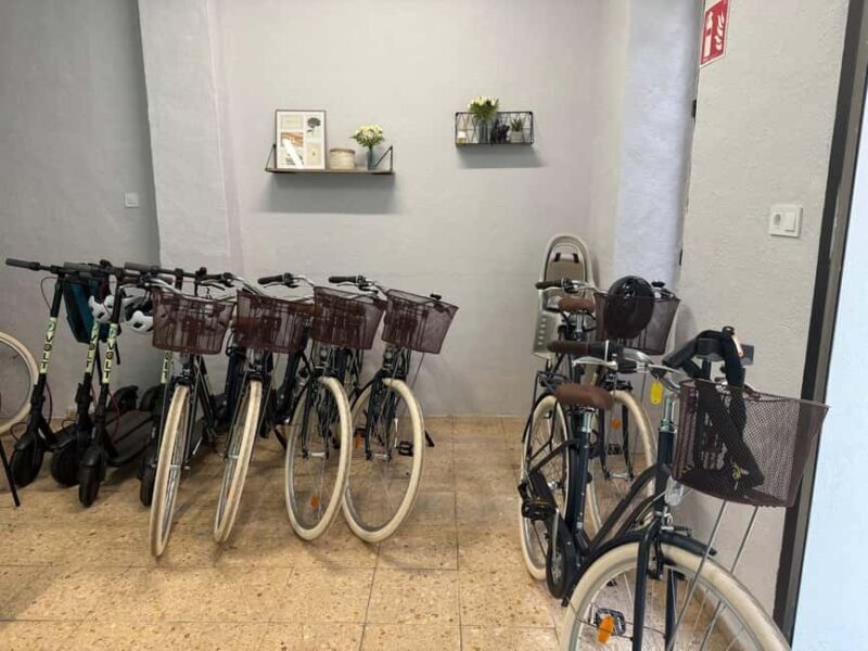 Valencia: Full-Day E-Bike Rental (9:30AM20:00PM) - Frequently Asked Questions