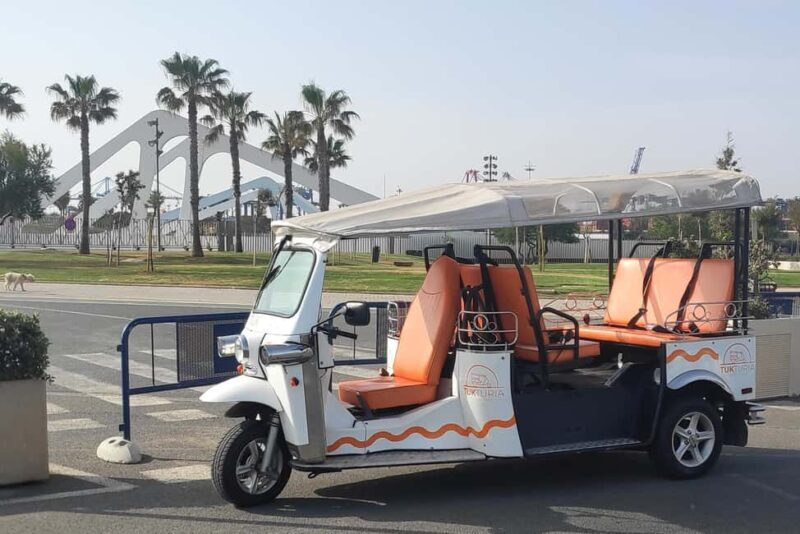 Valencia: Full Tuk Tuk Tour (2h) - Who This Tour Is Perfect For