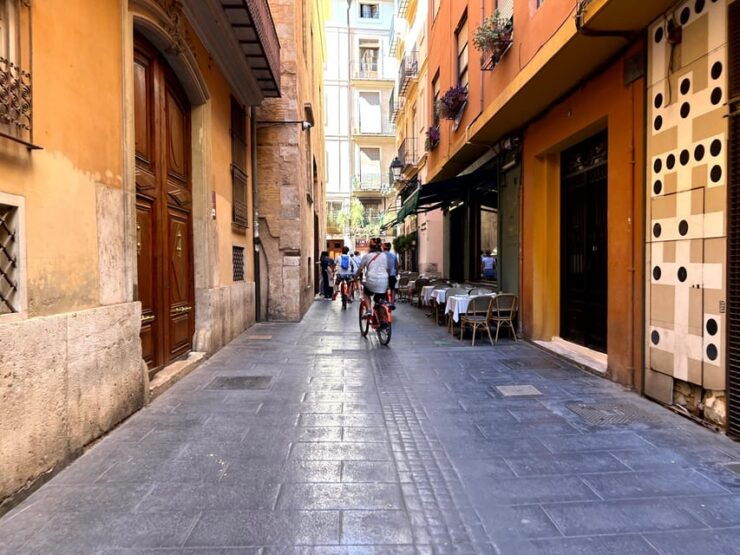 Valencia: Guided City Sightseeing Tour by Bike or E-Bike - Tour Highlights