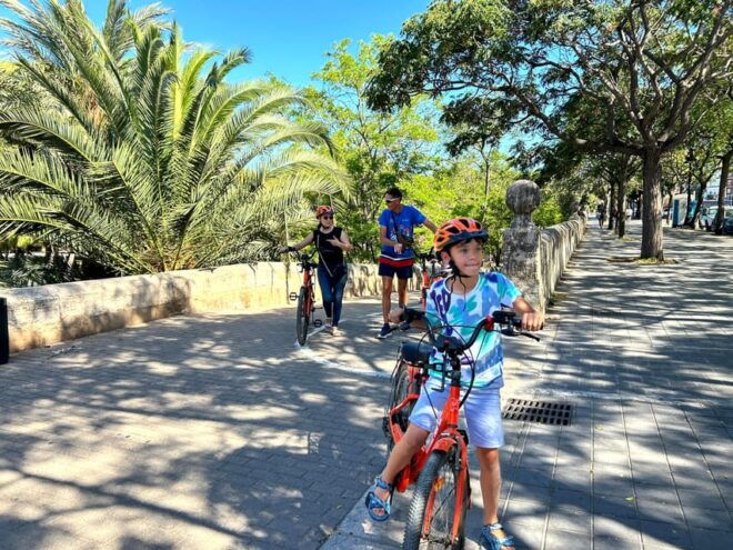 Valencia: Guided City Sightseeing Tour by Bike or E-Bike - Inclusions and Restrictions