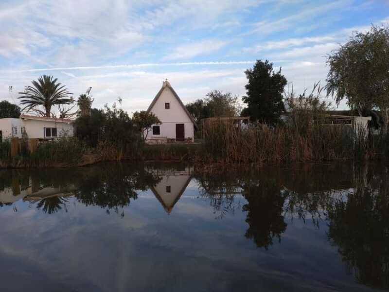 Valencia: Guided Lake Albufera Boat Ride and Barraca Tour - What Travelers Say: Authentic Insights from Reviews