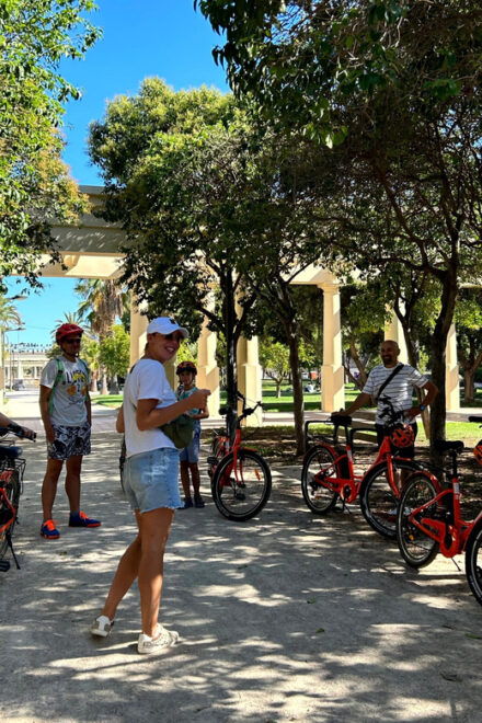 Valencia: Highlights 2.5-Hour City Tour by E-Bike With Guide - Inclusions and Requirements
