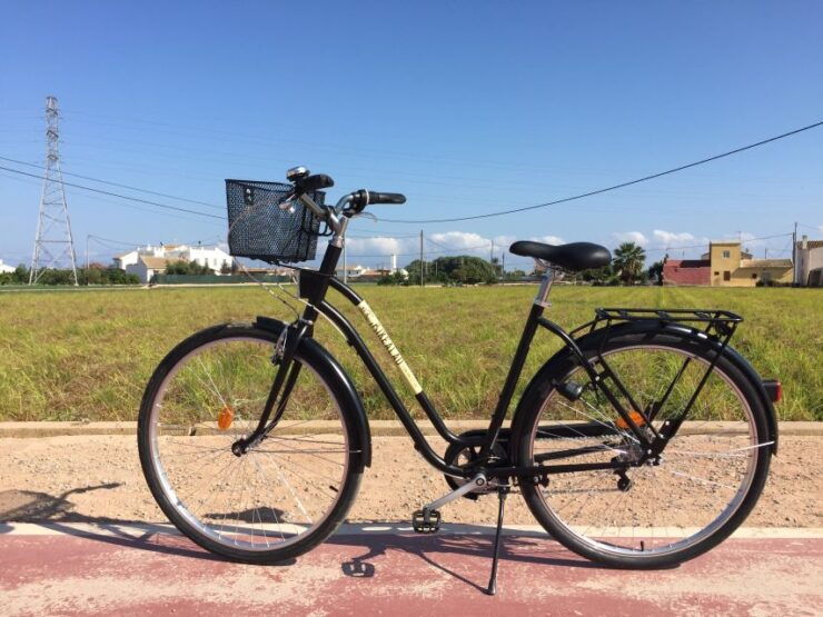 Valencia: Horchata Bike Tour - Experience Highlights