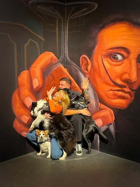 Valencia: Illusion Museum Entry Ticket - Visitor Information and Meeting Point