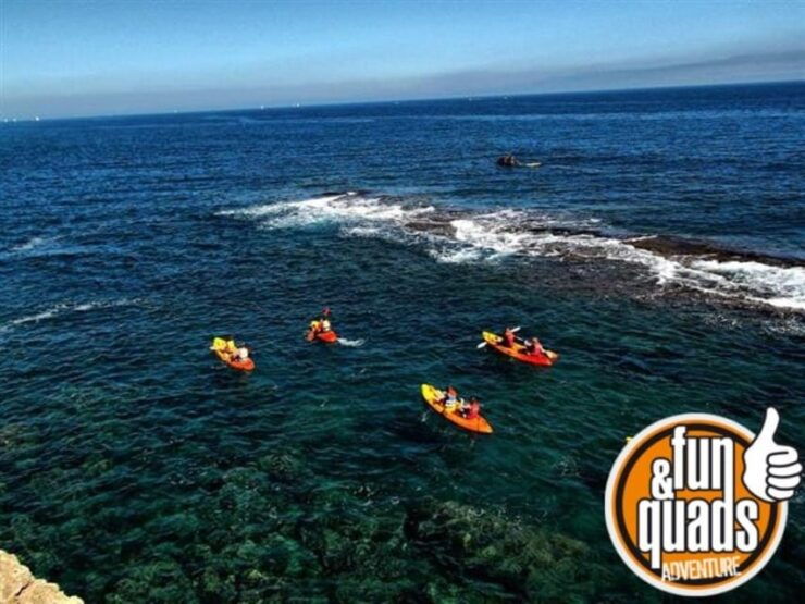 Valencia: Kayak Excursion - Good To Know
