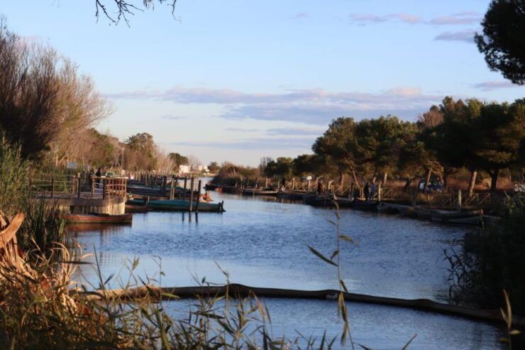 Valencia: Local Market, Boat Trip & Paella Workshop. - Good To Know