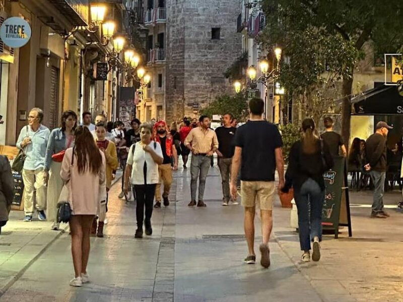 Valencia: Medieval City Guided Walking Tour - Tour Highlights