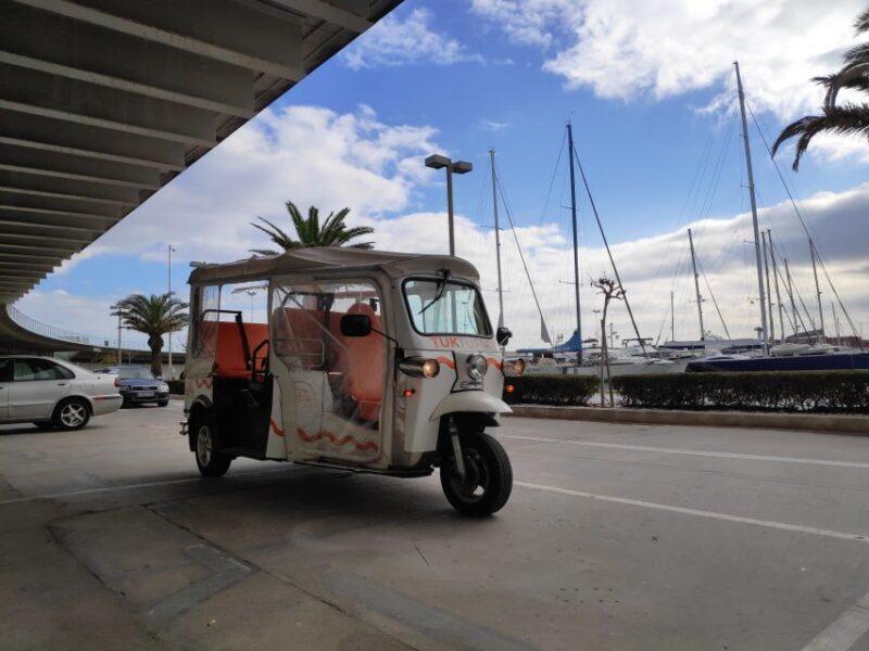 Valencia: Modern Tuk Tuk Tour (1h 30m) - Who Is This Tour Perfect For?
