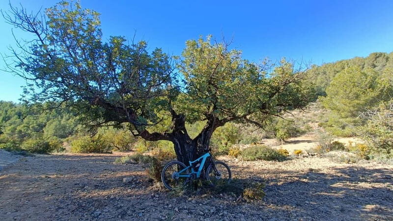 Valencia: Mountain E-Bike Tour + Transfers + Drone Footage - Practical Details and Considerations