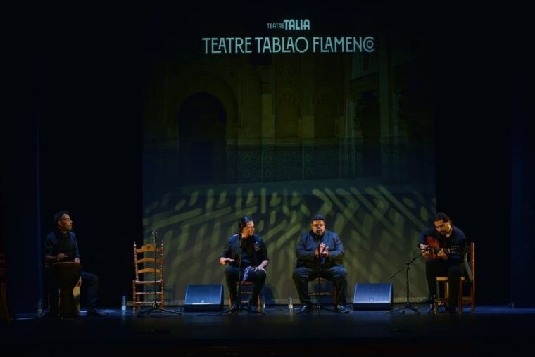 Valencia: New Flamenco Show in the Most Emblematic Theater of the City - Artistic Elements of the Show