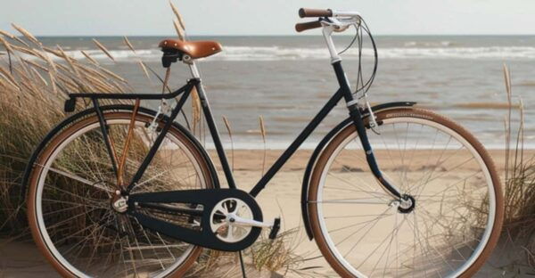Valencia: Normal Bike and Electric Bike Rental Ruzafa - Valencias Bike-Friendly Environment