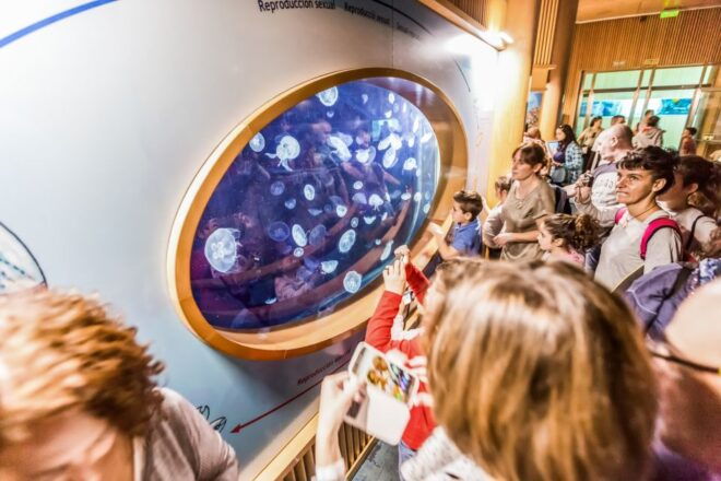 Valencia: Oceanogràfic Entry Ticket - Important Information