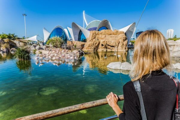 Valencia: Oceanogràfic Entry Ticket - Cancellation Policy