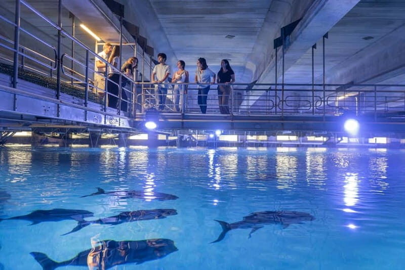 Valencia Oceanogràfic Entry with Backstage tour in Spanish - A Closer Look at the Valencia Oceanogràfic Backstage Tour