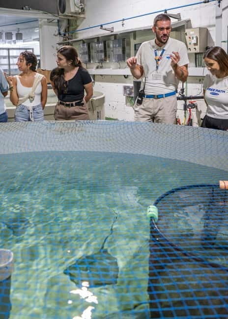 Valencia Oceanogràfic Entry with Backstage tour in Spanish - Who Should Book This Experience?