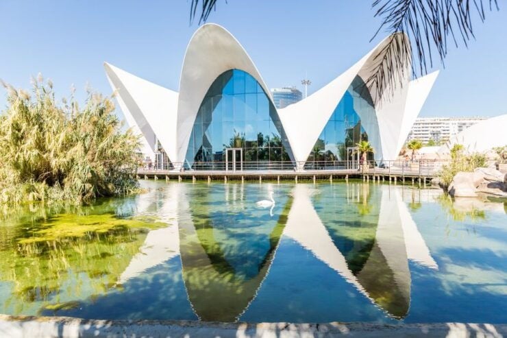 Valencia: Oceanografic, Hemisferic & Science Museum Combos - Ticket and Experience Details