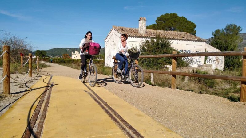 Valencia: Orange Grove Bike Tour with Monastery Visit - A Deep Dive into the Valencia Orange Grove Bike Tour