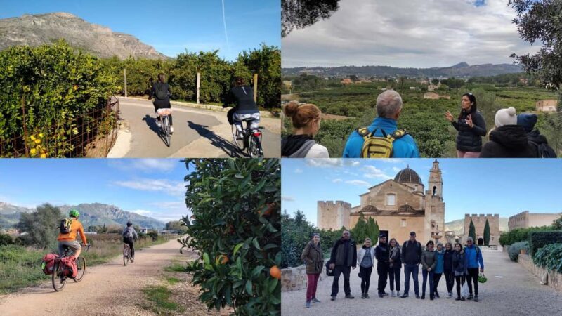 Valencia: Orange Grove Bike Tour with Monastery Visit - FAQs