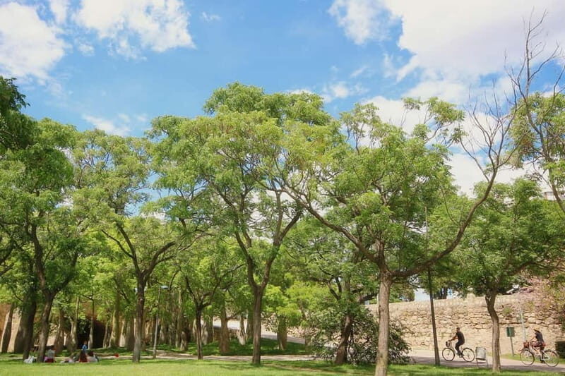 Valencia Parks: Private Tour on Bicycle, E-Bike or E-Step - Pricing and Value