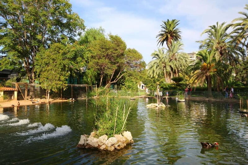 Valencia Parks: Private Tour on Bicycle, E-Bike or E-Step - Who Would Love This Tour?