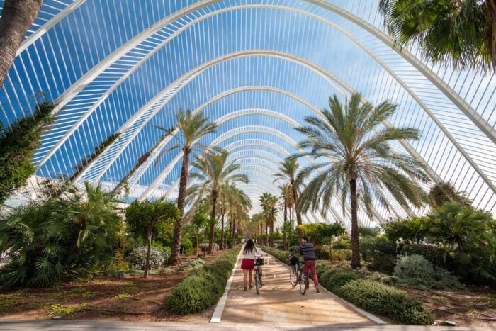Valencia: Private City Tour on Bike With Drink Stop - Common Questions