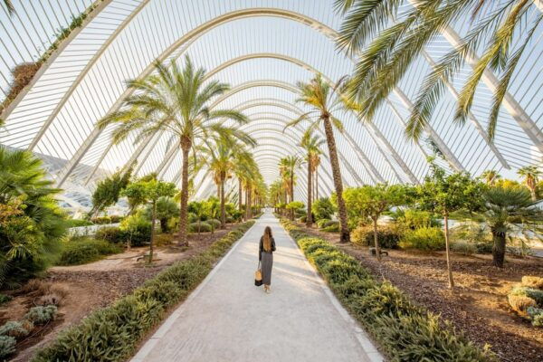 Valencia: Private Food Tour With Basic Spanish Learning - Frequently Asked Questions