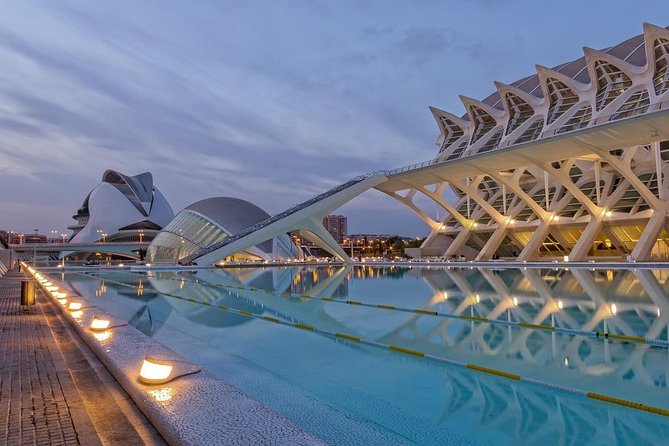 Valencia Private Tour With Hotel or Cruise Port Pick up - Tour Details and Options