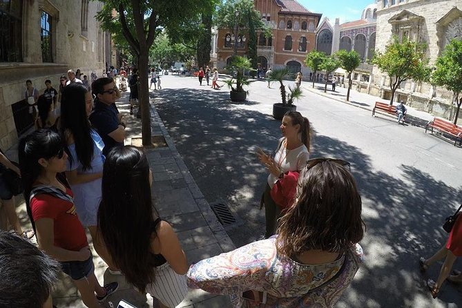 Valencia Private Walking Tour With Official Valencian Guide - Private Tour Details