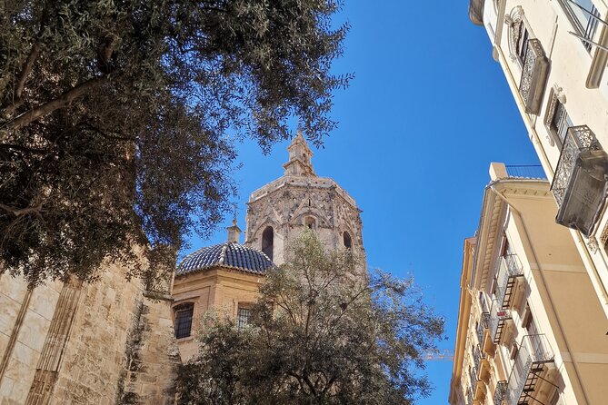 Valencia Private Walking Tour With Official Valencian Guide - Additional Information