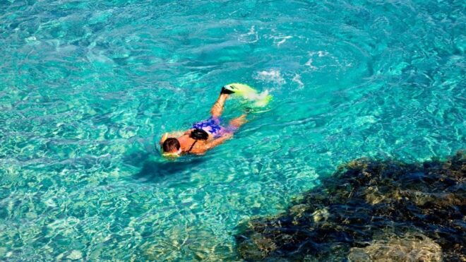 Valencia: Roundtrip Transfer to Tabarca Island - Requirements