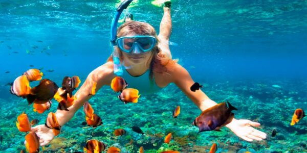 Valencia: Roundtrip Transfer to Tabarca Island - Frequently Asked Questions