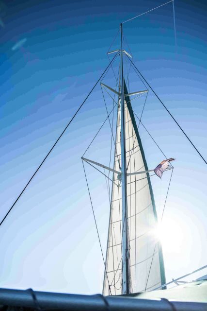 Valencia: Sailing Catamaran with Swimming & Optional DJ - Who Should Consider This Tour?