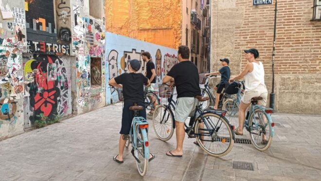 Valencia: Street Art Group Bike Tour - Inclusions