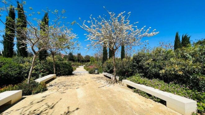Valencia: the Best 15 Spots in the City by Bike! - Ruzafas Charm