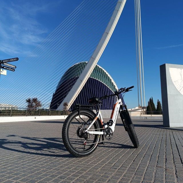 Valencia: the City and Albufera Lake Self-Guided E-Bike Tour - Tour Overview