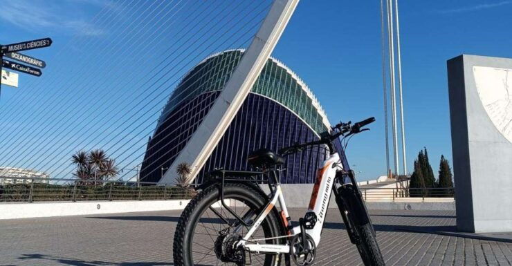 Valencia: the City and Albufera Lake Self-Guided E-Bike Tour - Booking Information