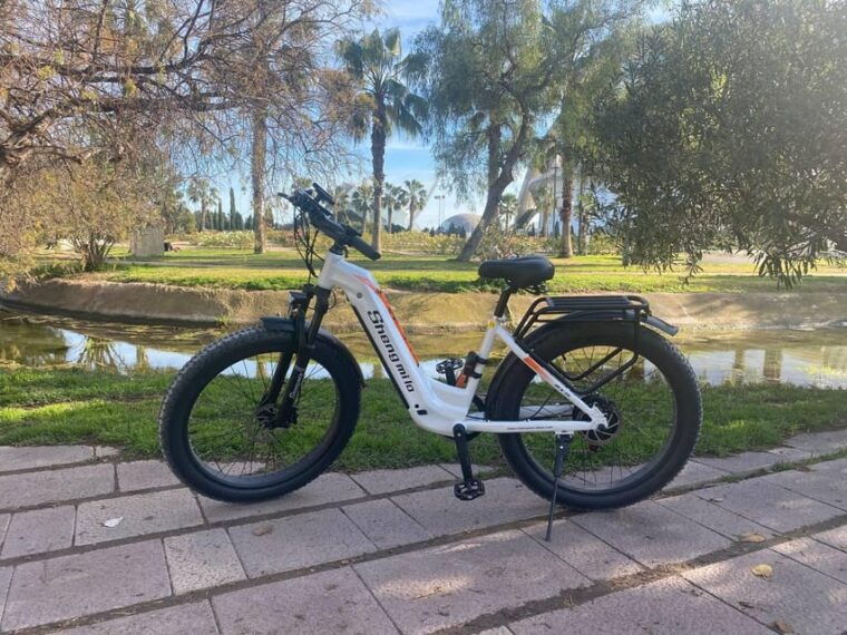 Valencia: Top 25 Highlights Guided Bike Tour - Customer Feedback
